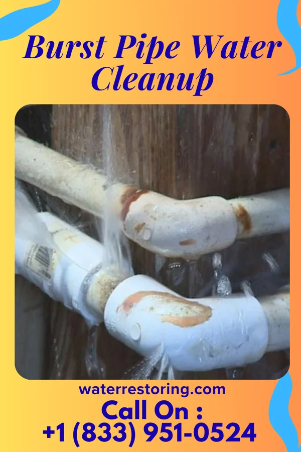 Burst Pipe Water Cleanup in Belwood, NC
