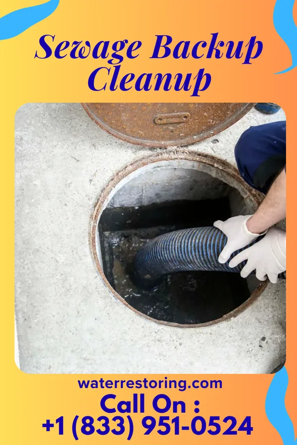Sewage Backup Cleanup in Belwood, NC