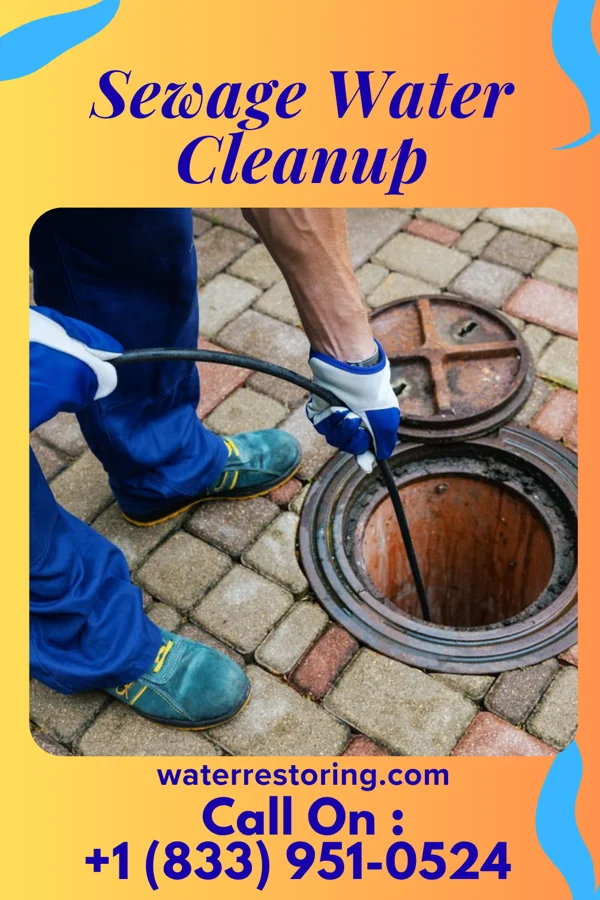 Sewage Water Cleanup in Belwood, NC